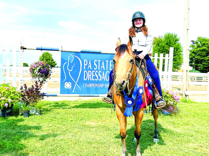 4-H members compete at Junior Horse and Dressage Championship Shows